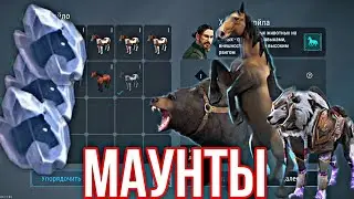 СКРЕЩИВАНИЕ МАУНТОВ! КАКОЙ ШАНС НА ПРОКАЧКУ? ПОДКОВЫ И УЗДЕЧКИ! Frostborn Coop Survival