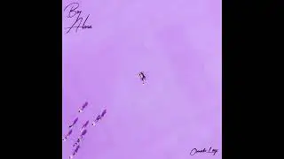 Omah Lay - soso (Official Audio)