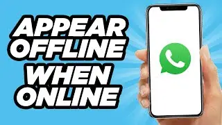 How to Appear Offline on WhatsApp When Online (2024)
