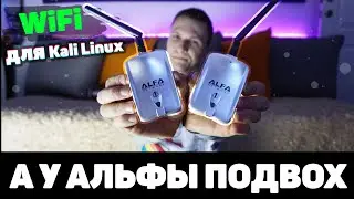 Alfa: Лучший WiFi адаптер для Вардрайвинга в Kali Linux? | UnderMind