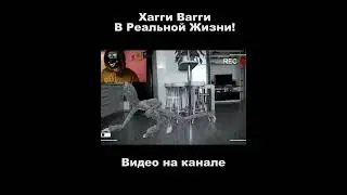 Хаги Ваги Существует в Реальном Мире!