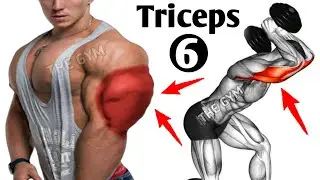 6 Effective Triceps Exercises to Grow Your Arms in 22 days