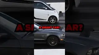 Mustang Vs Smart Car 🚗