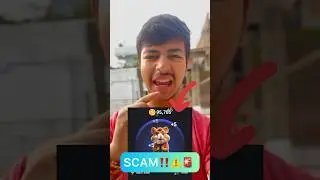 Reality Of Hamster Kombat Scam‼️ | Kya Hamster Kombat Scam Hai #hamsterkombat