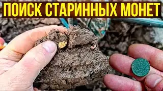 Поиск старинных монет в Беларуси. Коп по старине с металлоискателем Деус