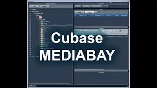 Настройка Cubase MediaBay