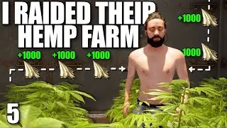 I ONLINE RAIDED THIS CLAN AND THEIR HEMP FARM | Solo Rust