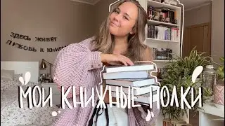 МОИ КНИЖНЫЕ ПОЛКИ | Моя домашняя библиотека