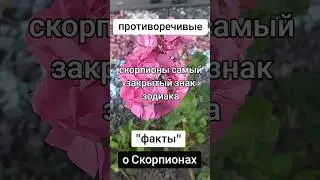 Мифы о Скорпионах♏💋