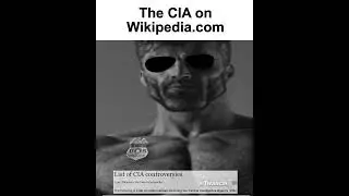 The CIA on wikipedia