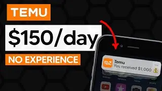 How To Make Money From TEMU in 2023 As A Beginner (NO EXPERIENCE) Without Skills