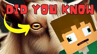 Did you know goats have RECTANGLE pupils 🐐 Minecraft Animation