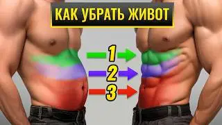 КАК БЫСТРО ИЗБАВИТЬСЯ ОТ ЖИВОТА!