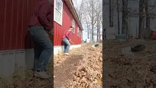 Spring Garden | Cabbage Patch | Fermented Homestead #gardening #homesteadgarden #homesteading