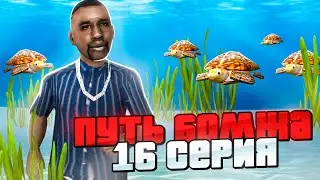 ПУТЬ БОМЖА на ЭВОЛЬВ РП #16 - как ПРОЙТИ всю КВЕСТОВУЮ ЛИНИЮ? как ВЫПОЛНИТЬ КВЕСТ ЧЕРЕПАШИЙ ЗАПЛЫВ?