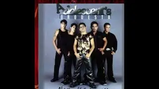 Adolescent's Orquesta - Me Gusta (Audio Oficial)