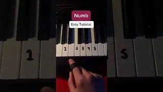 Numb ♠️ #piano #tips #tipsandtricks #pianolessons #pianotutorial #linkinpark #pianotechnique