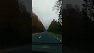 Autumn road