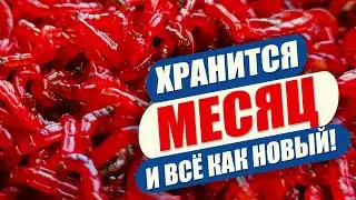 КАК ХРАНИТЬ МОТЫЛЯ? Научил рыбак-продавец с рынка