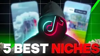 5 BEST TikTok Niches in 2024 (Creativity Program)