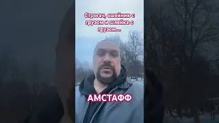 Амстафф строгач и груз на шлейке 