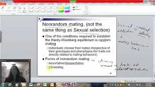 Migration and Nonrandom Mating