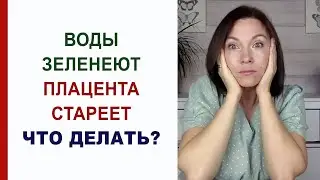 40 недель беременности. Врачи говорят, что воды зеленеют, плацента стареет. Что делать до родов?