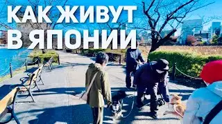 ЖИЗНЬ В ЯПОНИИ | Как живут обычные японцы ENG SUB