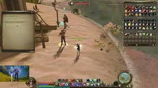 Aion Empire Classic версия 1.9~Боль и страдания Assasina))) 15lvl