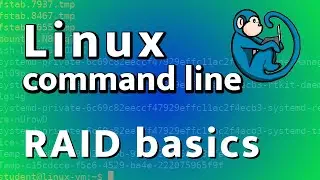 Redundant Array of Independent Disks (RAID) - creating, formatting, and disaster recovery