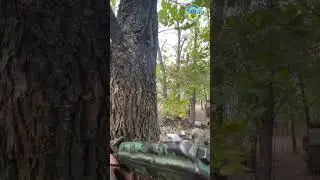 Оборона , Донецький напрямок