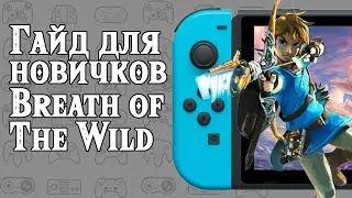 ГАЙД ДЛЯ НОВИЧКОВ The Legend of Zelda BREATH OF THE WILD