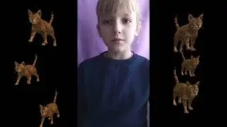 Моравская Мария  Котёнок