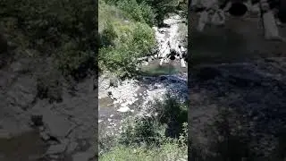 Река Паук часть 1