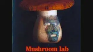 Mushroom Lab - Another Ambient Dub