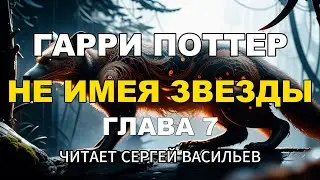 Не имея звезды - Глава 7 | Гарри Поттер (аудиокнига Васильев С.)