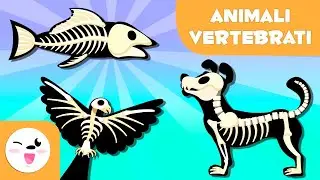 ANIMALI VERTEBRATI per bambini - Mammiferi, uccelli, rettili, pesci e anfibi