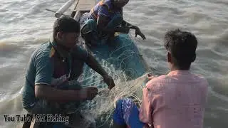 Live Hilsa Fish Catching In Padma River l Fishing Media