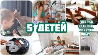 ДЕНЬ МНОГОДЕТНОЙ тёти. Капец! КОШКА принесла крысу в постель! Покупки Fixprice | ЗАГОТОВКА на зиму