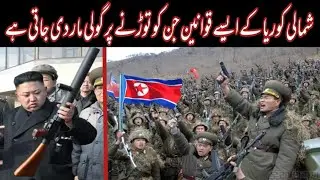 Why is it Impossible to Scape North Korea| Why Nobody Can Stop North Korea