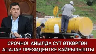 КОРКУТУП жатышат. Айылда СҮТ өткөргөн АПАЛАР Садыр ЖАПАРОВГО кайрылышты