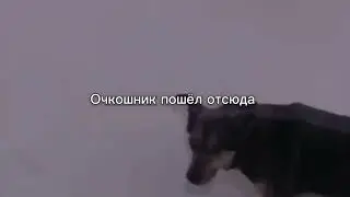 Очкошник пошёл отсюда