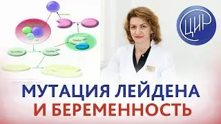 Мутация Лейдена и потеря беременности на 5 месяце. Ведение беременности при Лейденской мутации.