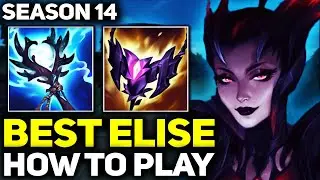 RANK 1 BEST ELISE