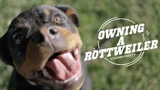 OWNING A ROTTWEILER