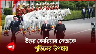 কিম জং উনকে ২৪টি ঘোড়া উপহার দিয়েছেন পুতিন | Putin | Horse Gift | Kim Jong Un | Protidiner Bangladesh