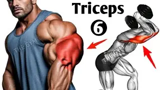 6 Magic Exercises For Bigger Triceps - Triceps Workout