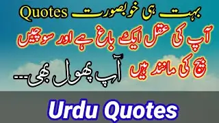 Urdu beautiful Quotes || Hindi quotes || urdu aqwal e zareen || Best urdu quotes  video