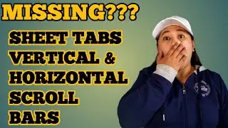 Learn How To Add And Show Missing Sheet Tabs And Scroll Bars In Excel