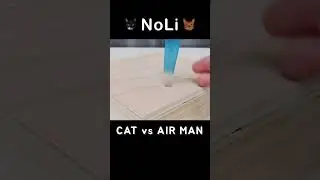 Cat vs Airman | NoLi